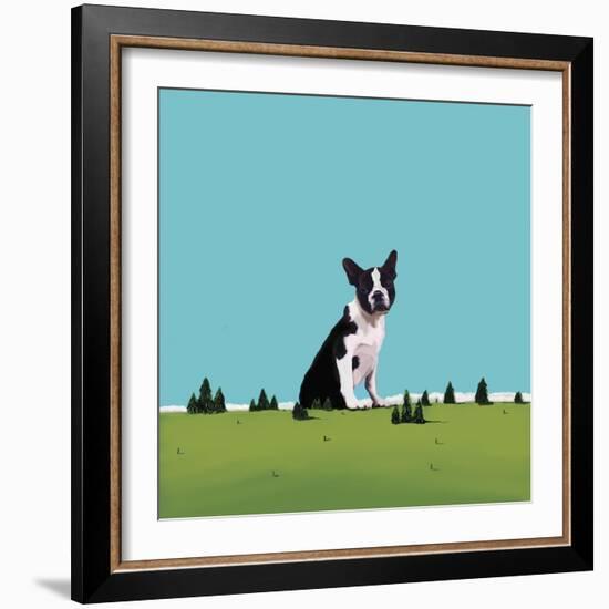 Boston Terrier, 2008-Marjorie Weiss-Framed Giclee Print