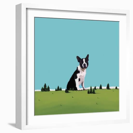 Boston Terrier, 2008-Marjorie Weiss-Framed Giclee Print