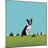 Boston Terrier, 2008-Marjorie Weiss-Mounted Giclee Print