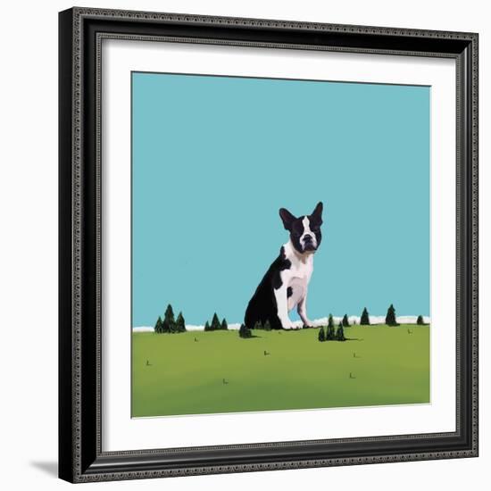 Boston Terrier, 2008-Marjorie Weiss-Framed Giclee Print