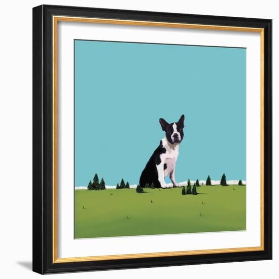 Boston Terrier, 2008-Marjorie Weiss-Framed Giclee Print