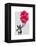 Boston Terrier and Balloons-Fab Funky-Framed Stretched Canvas