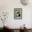 Boston Terrier Coffee Boston-Ryan Fowler-Framed Art Print displayed on a wall