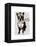 Boston Terrier Flying Ace-Fab Funky-Framed Stretched Canvas