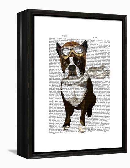 Boston Terrier Flying Ace-Fab Funky-Framed Stretched Canvas