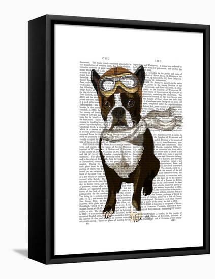 Boston Terrier Flying Ace-Fab Funky-Framed Stretched Canvas