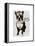 Boston Terrier Flying Ace-Fab Funky-Framed Stretched Canvas