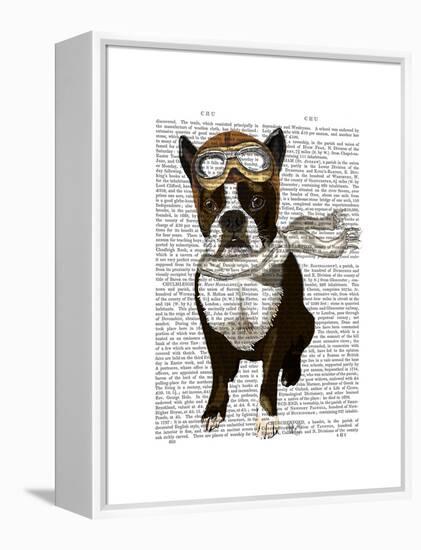 Boston Terrier Flying Ace-Fab Funky-Framed Stretched Canvas