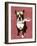 Boston Terrier Flying Ace-Fab Funky-Framed Art Print