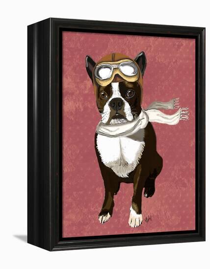 Boston Terrier Flying Ace-Fab Funky-Framed Stretched Canvas