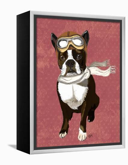 Boston Terrier Flying Ace-Fab Funky-Framed Stretched Canvas