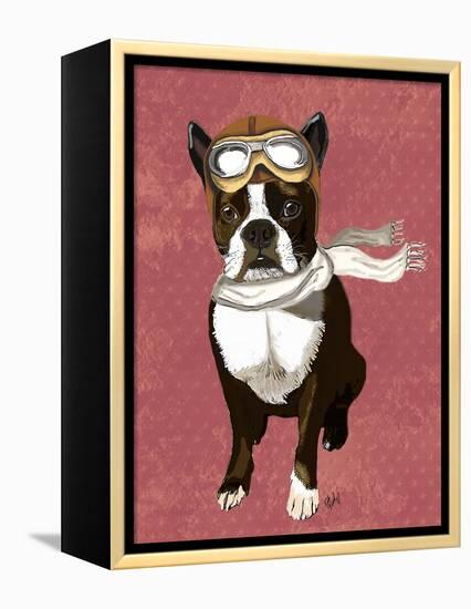 Boston Terrier Flying Ace-Fab Funky-Framed Stretched Canvas