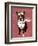 Boston Terrier Flying Ace-Fab Funky-Framed Art Print