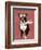 Boston Terrier Flying Ace-Fab Funky-Framed Art Print