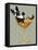 Boston Terrier in Cocktail Glass-Fab Funky-Framed Stretched Canvas