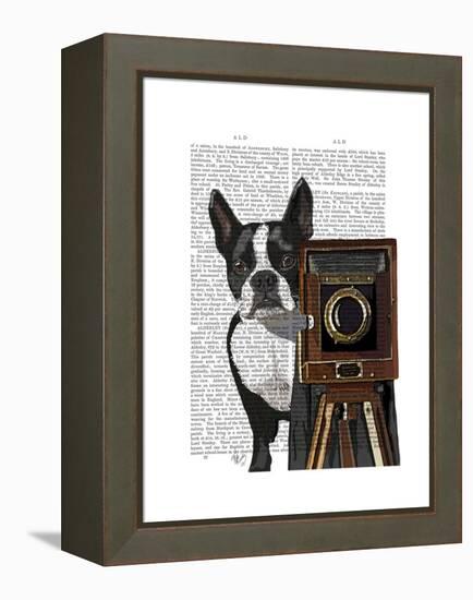 Boston Terrier Photographer-Fab Funky-Framed Stretched Canvas