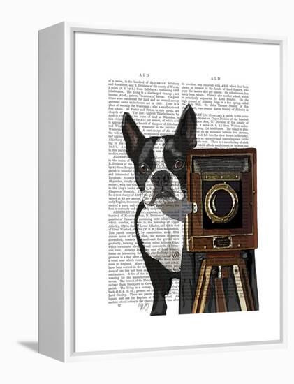 Boston Terrier Photographer-Fab Funky-Framed Stretched Canvas