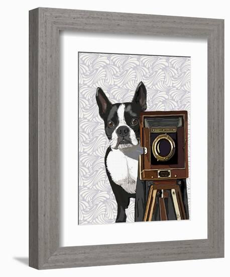 Boston Terrier Photographer-Fab Funky-Framed Art Print