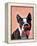 Boston Terrier Portrait with Red Bow Tie and Moustache-Fab Funky-Framed Stretched Canvas