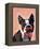 Boston Terrier Portrait with Red Bow Tie and Moustache-Fab Funky-Framed Stretched Canvas