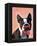 Boston Terrier Portrait with Red Bow Tie and Moustache-Fab Funky-Framed Stretched Canvas