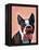 Boston Terrier Portrait with Red Bow Tie and Moustache-Fab Funky-Framed Stretched Canvas