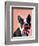 Boston Terrier Portrait with Red Bow Tie and Moustache-Fab Funky-Framed Premium Giclee Print