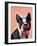 Boston Terrier Portrait with Red Bow Tie and Moustache-Fab Funky-Framed Art Print