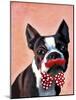 Boston Terrier Portrait with Red Bow Tie and Moustache-Fab Funky-Mounted Art Print