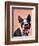 Boston Terrier Portrait with Red Bow Tie and Moustache-Fab Funky-Framed Art Print