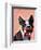 Boston Terrier Portrait with Red Bow Tie and Moustache-Fab Funky-Framed Art Print