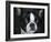 Boston Terrier Portrait-Jai Johnson-Framed Giclee Print