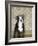 Boston Terrier Puppy-Don Mason-Framed Photographic Print