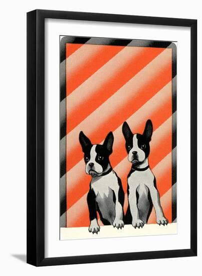 Boston Terrier Pups-null-Framed Art Print