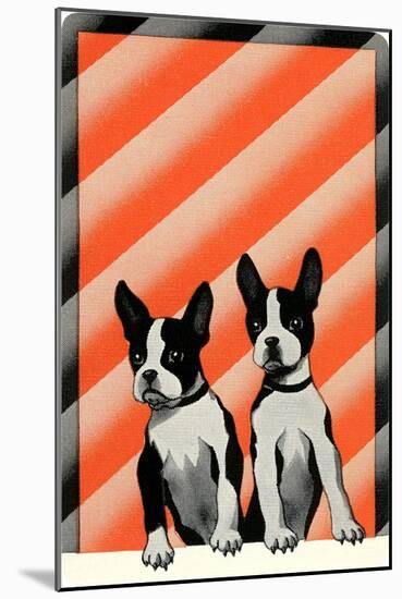 Boston Terrier Pups-null-Mounted Art Print