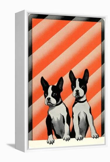 Boston Terrier Pups-null-Framed Stretched Canvas