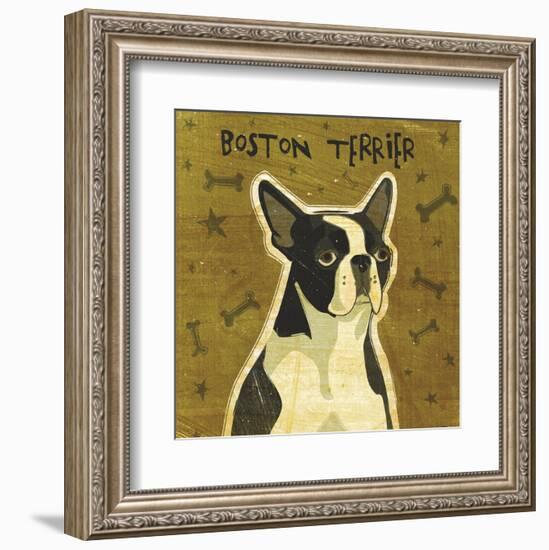 Boston Terrier (square)-John W^ Golden-Framed Art Print