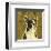 Boston Terrier (square)-John W^ Golden-Framed Art Print