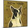 Boston Terrier (square)-John W^ Golden-Mounted Art Print
