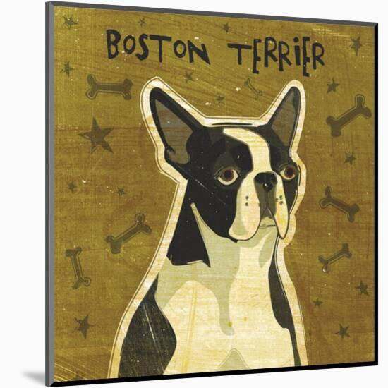 Boston Terrier (square)-John W^ Golden-Mounted Art Print