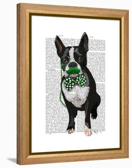 Boston Terrier with Green Moustache and Spotty Green Bow Tie-Fab Funky-Framed Stretched Canvas