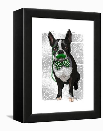 Boston Terrier with Green Moustache and Spotty Green Bow Tie-Fab Funky-Framed Stretched Canvas