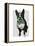Boston Terrier with Green Moustache and Spotty Green Bow Tie-Fab Funky-Framed Stretched Canvas