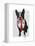 Boston Terrier with Red Tie and Moustache-Fab Funky-Framed Stretched Canvas