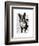 Boston Terrier with Rose in Mouth-Fab Funky-Framed Art Print