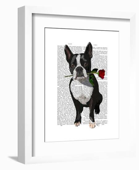 Boston Terrier with Rose in Mouth-Fab Funky-Framed Art Print