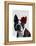 Boston Terrier with Rose on Head-Fab Funky-Framed Stretched Canvas