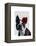 Boston Terrier with Rose on Head-Fab Funky-Framed Stretched Canvas