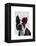 Boston Terrier with Rose on Head-Fab Funky-Framed Stretched Canvas