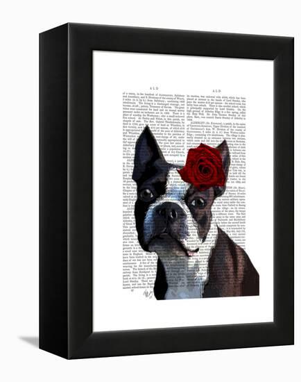 Boston Terrier with Rose on Head-Fab Funky-Framed Stretched Canvas